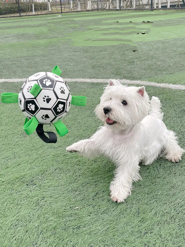 Dog Football Toys